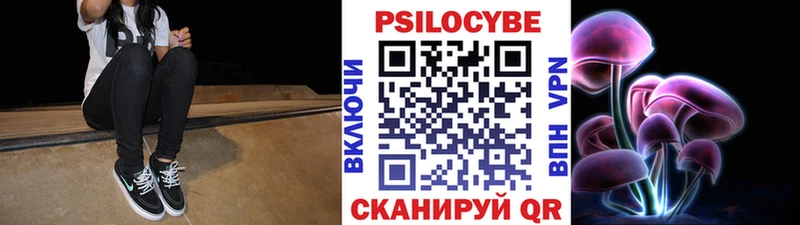 Псилоцибиновые грибы Cubensis  Грязовец 